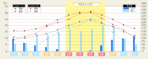 マルタ年間気温と降水量チャート